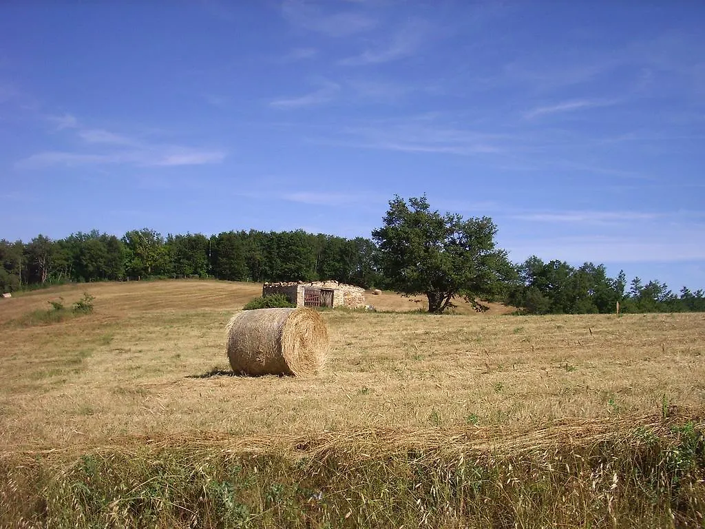 Agriturismo Bio Le Macchie Alte Manciano 0*,